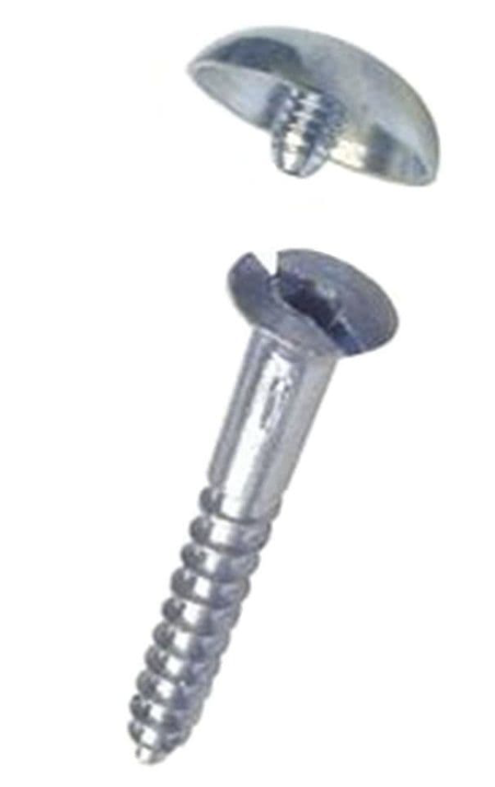 MIRROR SCREW 1" W/CAPS