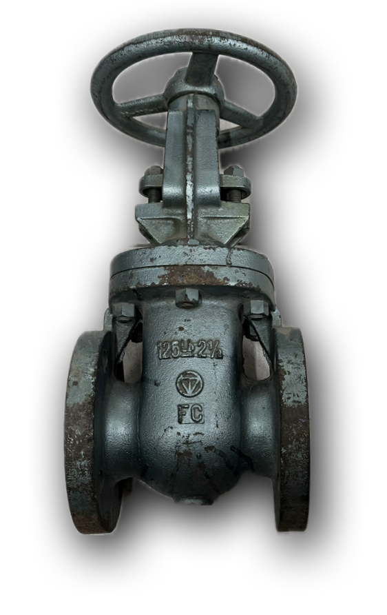SLUICE VALVE 2-1/2" FLANGE PN16 FC