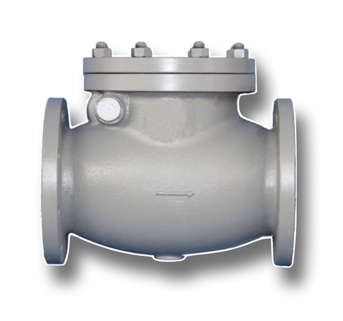 CAST IRON NRV 5"  PN16 FLANGED HE (FLAP)