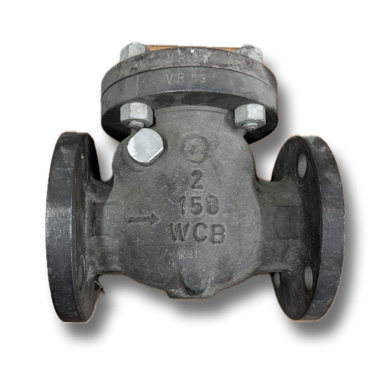 CAST STEEL NRV 2" CL150 FLANGED VR (FLAP) 