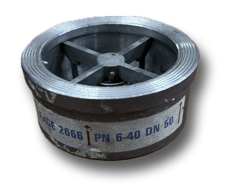 SS DCV 2" CF8