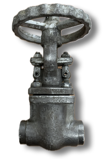 [4992] GATE VALVE CLASS 800 1" THREADED