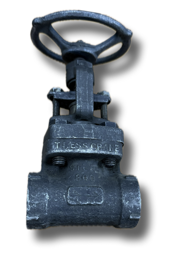 [5041] GLOBE VALVE 3/4" CL800 WELDON CRANE