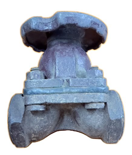 [5178] SAUNDERS VALVE 1" THREADED CAST IRON