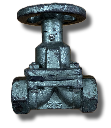 [5181] SAUNDERS VALVE 1" THREADED INDIA