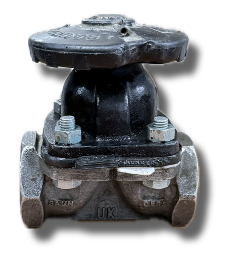 [5182] SAUNDERS VALVE 1" THREADED SS