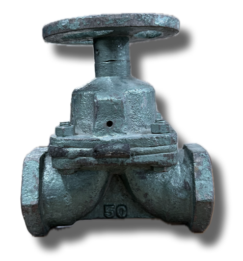 [5187] SAUNDERS VALVE 2" THREADED INDIA