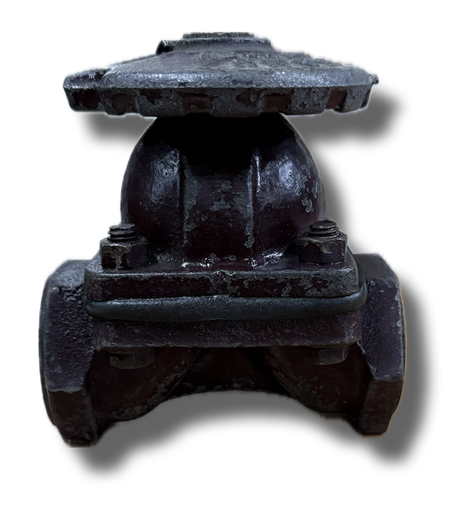 [5193] SAUNDERS VALVE 3/4" THREADED METAL HANDLE