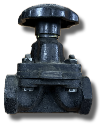 [5194] DIAPHRAGM VALVE 3/4" THREADED PLASTIC HANDLE SAUNDERS