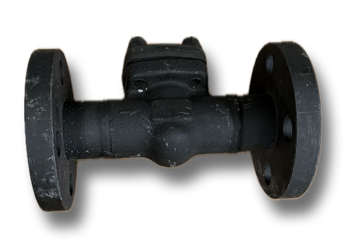 [7770] CAST STEEL NRV 1" CL300 FLANGED
