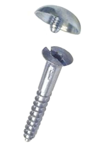 [10324] MIRROR SCREW 1" W/CAPS