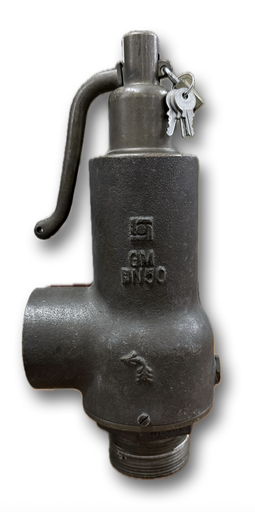 [10518] SAFETY VALVE 2" BOSS