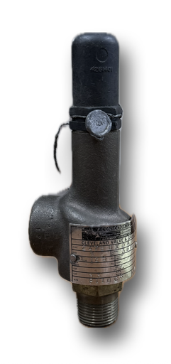 [10565] SAFETY VALVE 3/4" DRESSER SET 125PSI