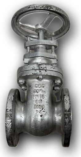 [11861] CAST STEEL GATE VALVE 3" CL150 C&C