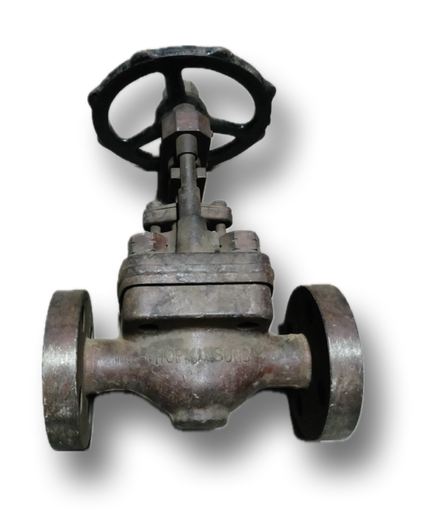 [11937] CAST STEEL GATE VALVE 1" CL300 HOPKINSONS