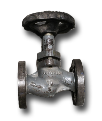 [11967] GLOBE VALVE 1/2" AUTOMECH FLANGED