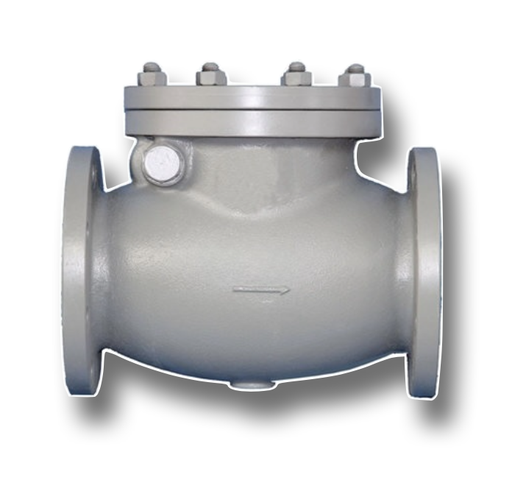 [12016] CAST IRON NRV 5"  PN16 FLANGED HE (FLAP)