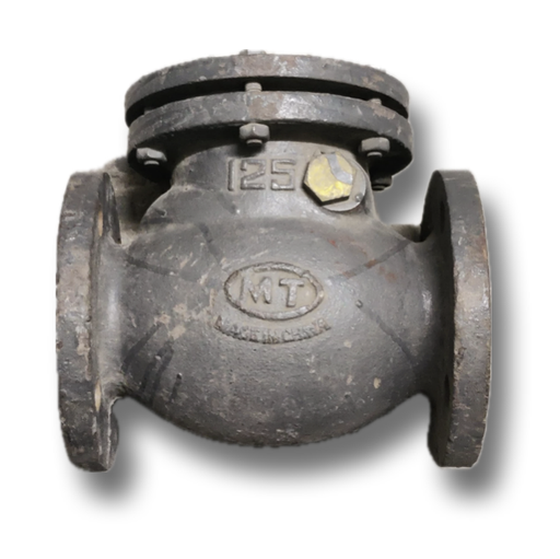 [12021] CAST IRON NRV 3" PN16 MT (FLAP)