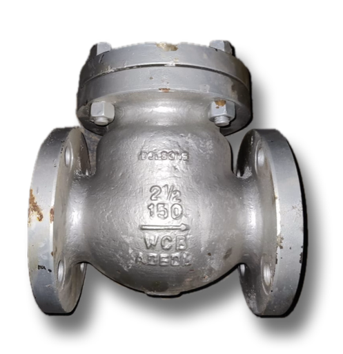 [12023] CAST STEEL NRV 2-1/2" CL150 DOLSONS (FLAP)