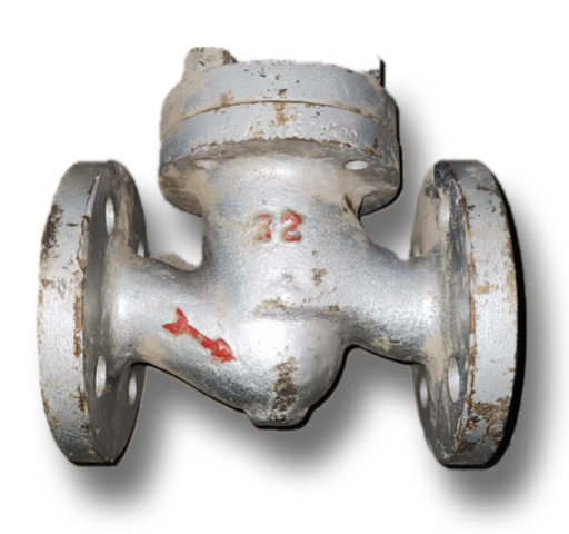 [12027] CAST IRON NRV 1-1/4" FLANGED PN16 HAWA (KLINGER) LIFT