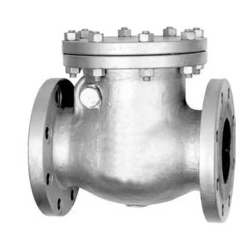 [12028] CAST STEEL NRV 2" CL150 FLANGED FV (FLAP)
