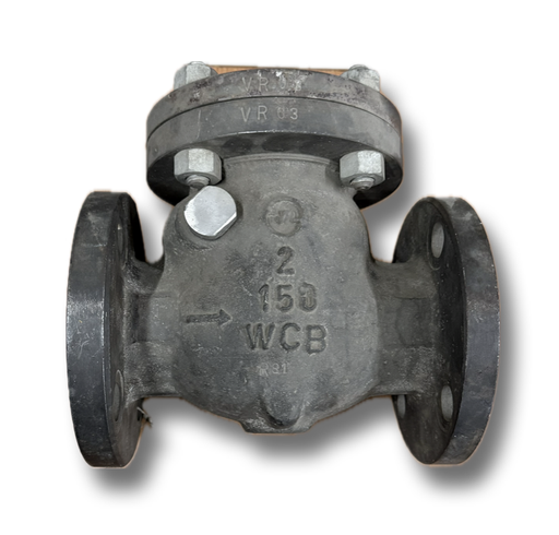 [12029] CAST STEEL NRV 2" CL150 FLANGED VR (FLAP) 