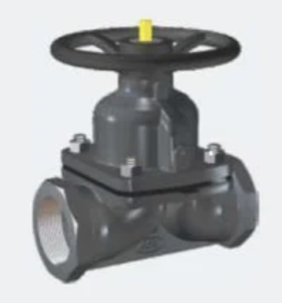 [12064] SAUNDERS VALVE 2" THREADED 