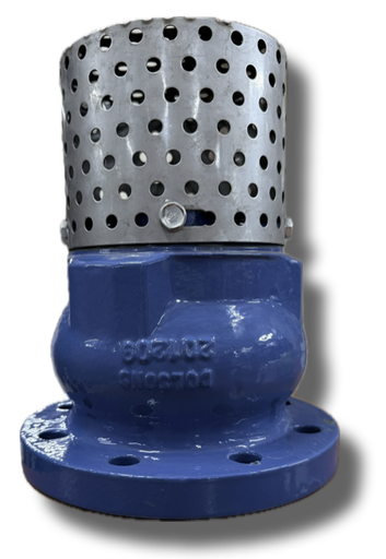 [12158] FOOT VALVE 8" FLANGE CAST IRON