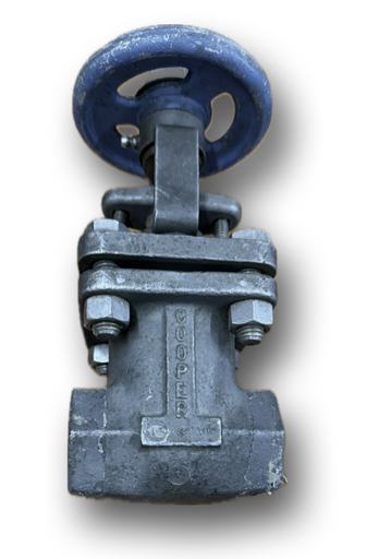 [12260] SS GATE VALVE 1" CL150 FIG-101 COOPER 